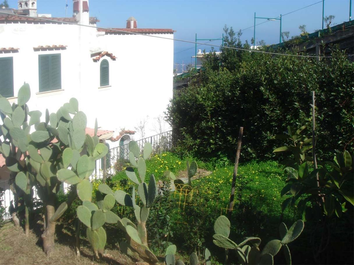 Nella Curva Della Funicolare, Apartment